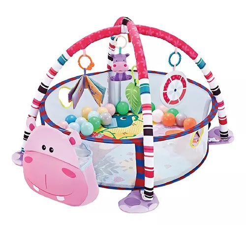 GIMNASIO PELOTAS K-GIM15-HIPO KABU