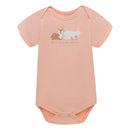 SET BODY X3 3220153 OFFCORSS