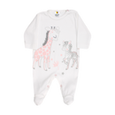 PRIMER DIA JIRAFAS 746 CHOCOMIEL