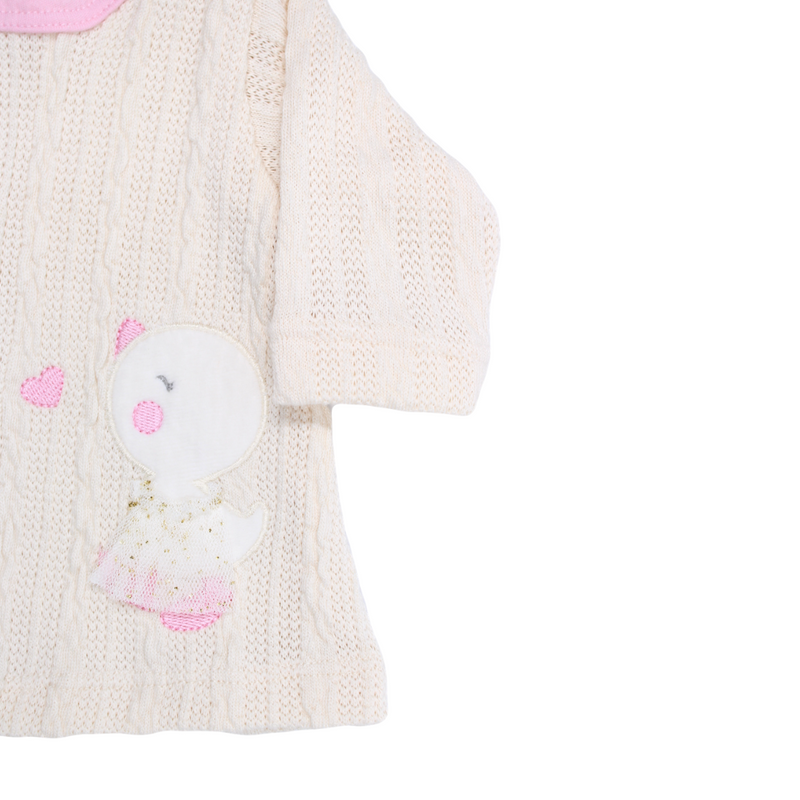 PRIMER DIA POLLITOS 737 CHOCOMIEL