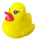 CHILLON PATO X6 3691 OGUSS