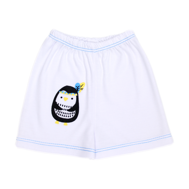 PRIMER DIA 404 JANELS