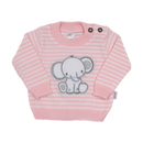 PRIMER DIA 00126 PUPPET