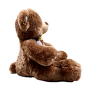 OSO AP3-4048-2 DPELOS