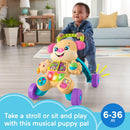 HERMANITA ANDADERA 20171 FISHER PRICE