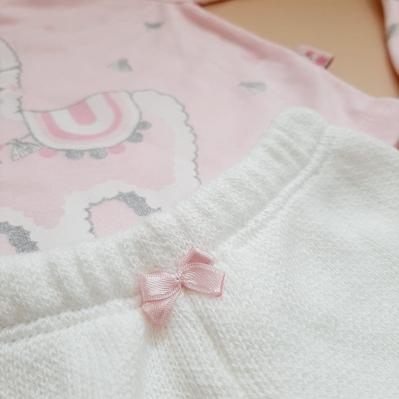 PRIMER DIA ALPACA 735 CHOCOMIEL