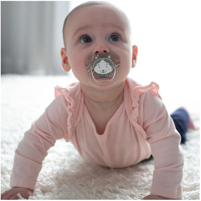 CHUPO ENTRETENCION X2 D31196 DR BROWN