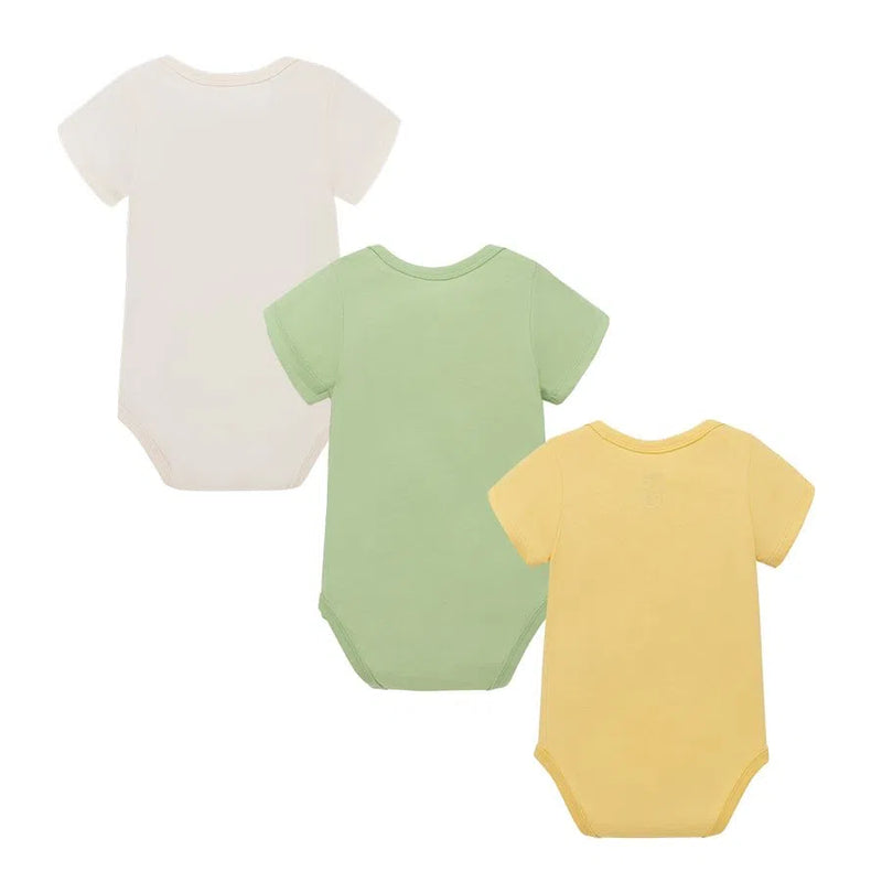 SET BODY X3 3320160 OFFCORSS