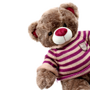 OSO AP3-4073-2 DPELOS