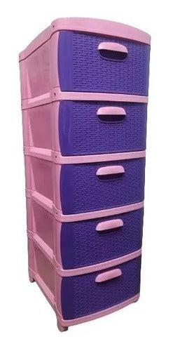 Organizador Dubaí X5 Prodehogar