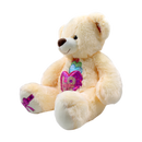 OSA AP3-4032-2 DPELOS