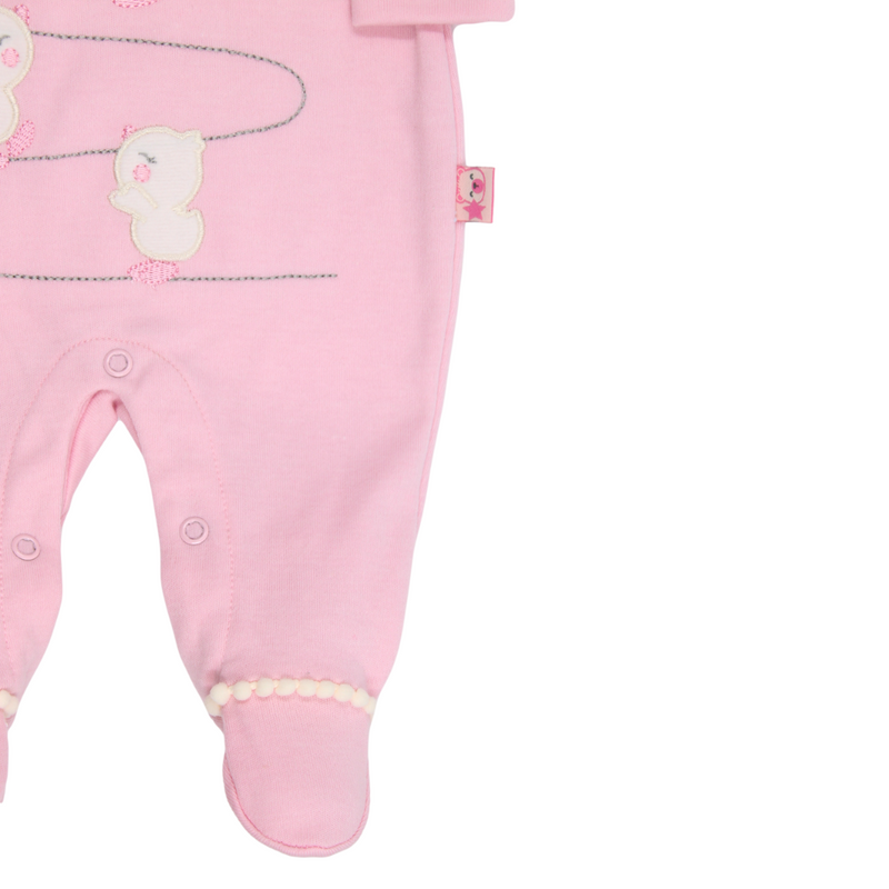 PRIMER DIA POLLITOS 737 CHOCOMIEL