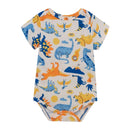 SET BODY X3 3120142 OFFCORSS