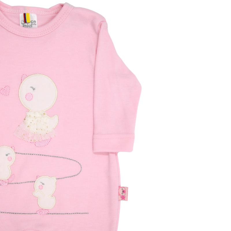 PRIMER DIA POLLITOS 737 CHOCOMIEL