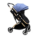 COCHE MOISES WH AZUL BEBESITOS