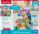 PERRITO ANDADERA 7120 FISHER PRICE