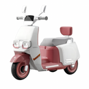MOTO ELECTRICA FY-MB1011-B ROJO STB