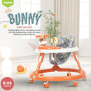 CAMINADOR Y-W417_CONEJO NARANJA STB