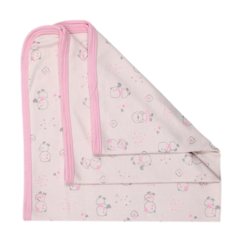 PRIMER DIA POLLITOS 737 CHOCOMIEL