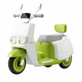 MOTO ELECTRICA FY-MB1011-B VERDE STB