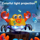 CANGREJO MUSICAL ZR222 STB