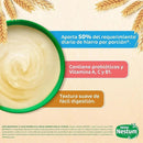 NESTUM CEREAL INFANTIL TRIGO MIEL X350 GR NESTLE