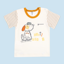 CONJUNTO BERMUDA BEBE NIÑO 10855 FOR BAB