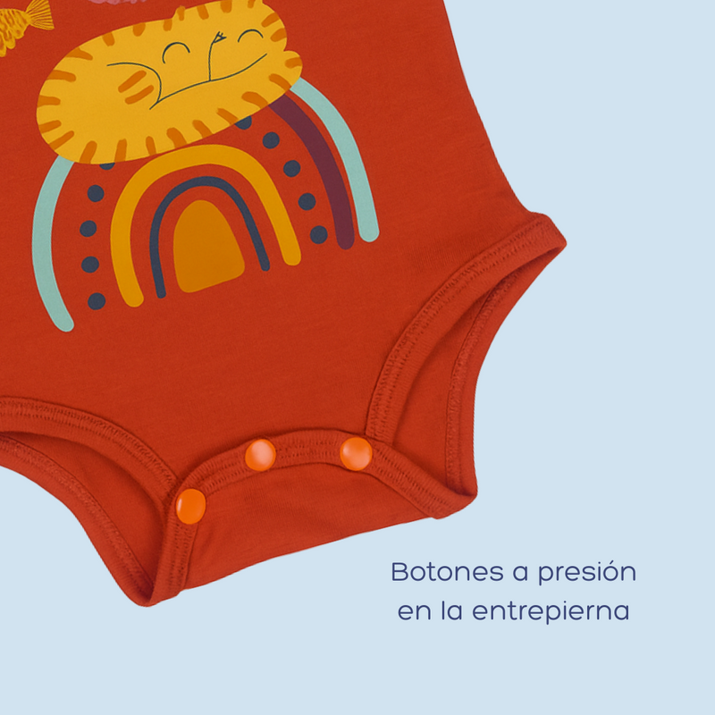 BODY DREAM BIG 1141 CRECIENDO BABY