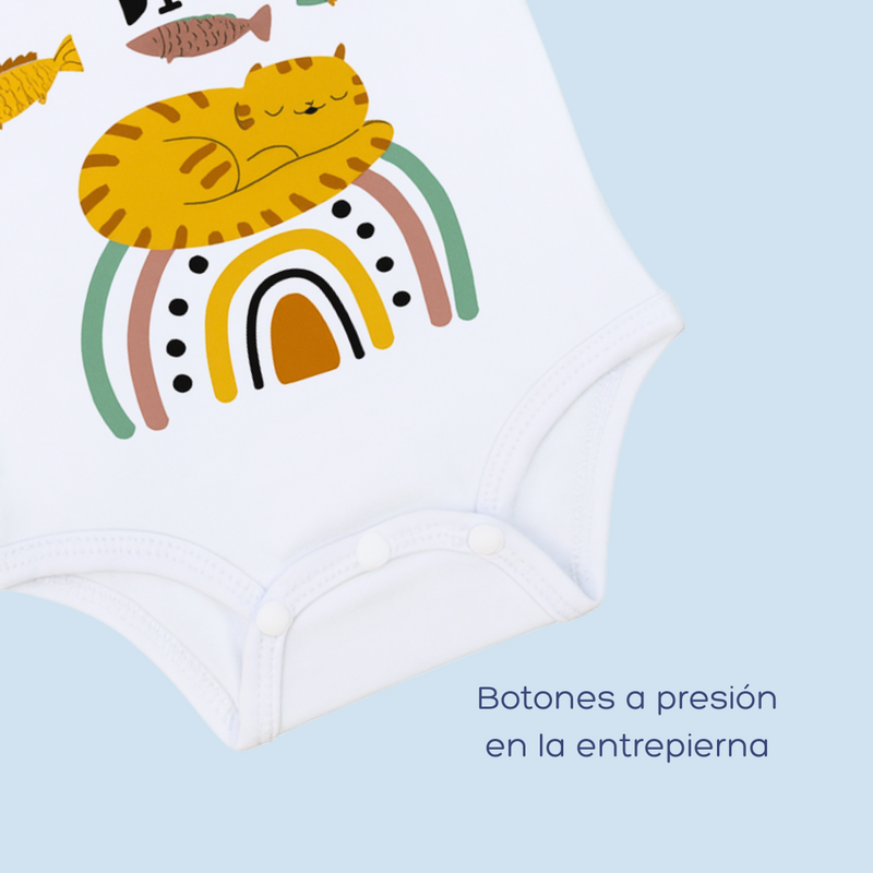 BODY DREAM BIG 1141 CRECIENDO BABY