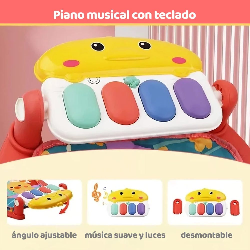 GIMNASIO PIANO 698-96-95 BABY KAYS