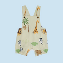 CONJUNTO BRAGA 1846 LOS CHIROS DE MARÍA JOSÉ