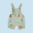 CONJUNTO BRAGA 1846 LOS CHIROS DE MARÍA JOSÉ