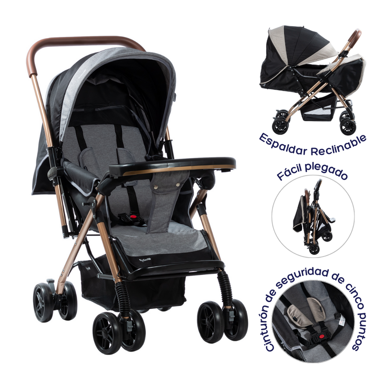 COCHE BON EB118 EBABY - GRIS