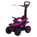 CARRO MONTABLE BUGGY EB357 ROSADO EBABY -