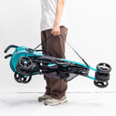COCHE PASEADOR PPA-12 PRIORI