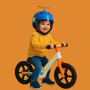 BICICLETA YL-001 STB