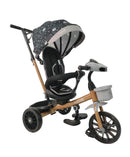 TRICICLO PASEADOR EB334N GRIS EBABY