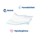 TOALLITAS HÚMEDAS ALOÉ VERA Y VITAMINA E X100 UND WINNY