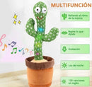 CACTUS BAILARIN 2687-6 MUNBE