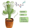 CACTUS BAILARIN 2687-6 MUNBE