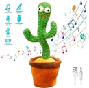 CACTUS BAILARIN 2687-6 MUNBE