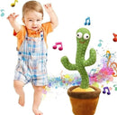 CACTUS BAILARIN 2687-6 MUNBE