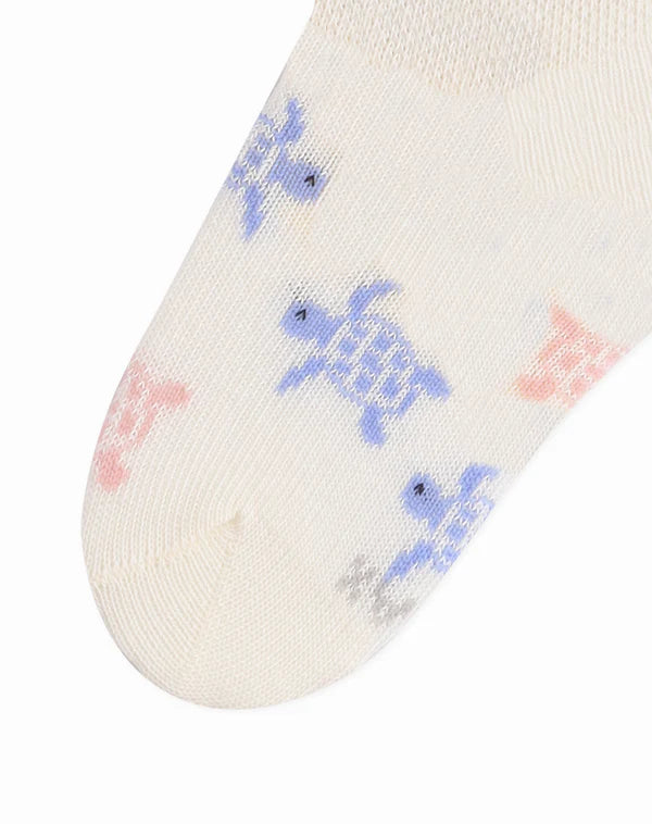 MEDIA ISABELLA X5 B 709867 GALAX