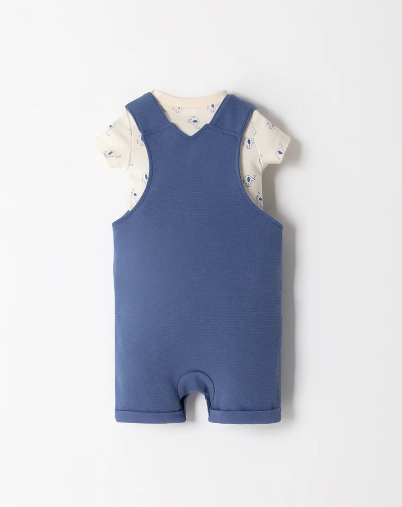 CONJUNTO KENTO 727504 BABY FRESH