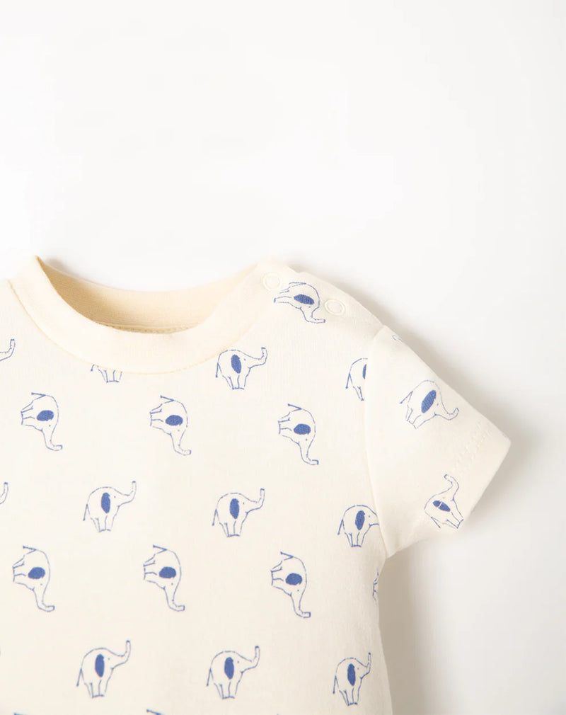 CONJUNTO KENTO 727504 BABY FRESH