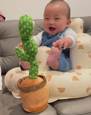 CACTUS BAILARIN 2687-6 MUNBE