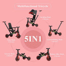 TRICICLO J-TS5015-R CAFE STB