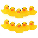 CHILLON PATO X9 391-13 LA GLORIA