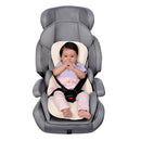 Soporte Estabilizadora 100445 Primordial