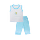 SEMANARIO 14PZS E137 PINTICAS